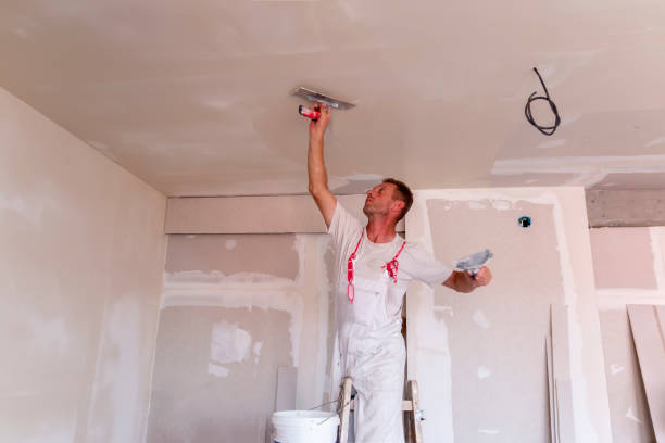 Best Ceiling Drywall Installation  in Culpeper, VA